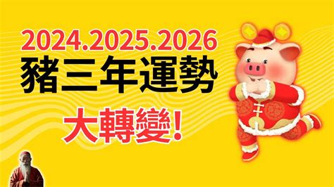 屬豬適合什麼顏色|2024豬年開運色速查